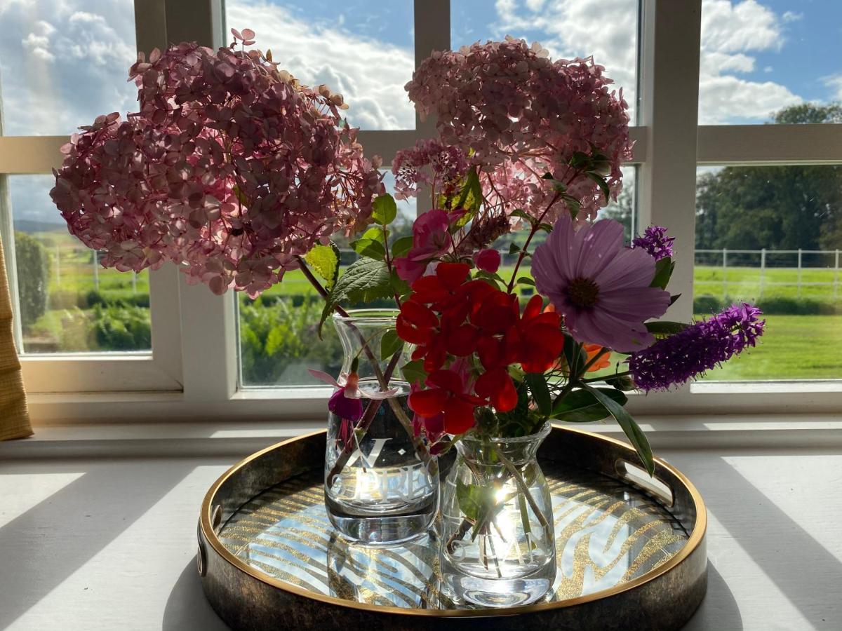 South Craighall B&B Eaglesham Buitenkant foto