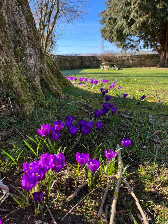 South Craighall B&B Eaglesham Buitenkant foto