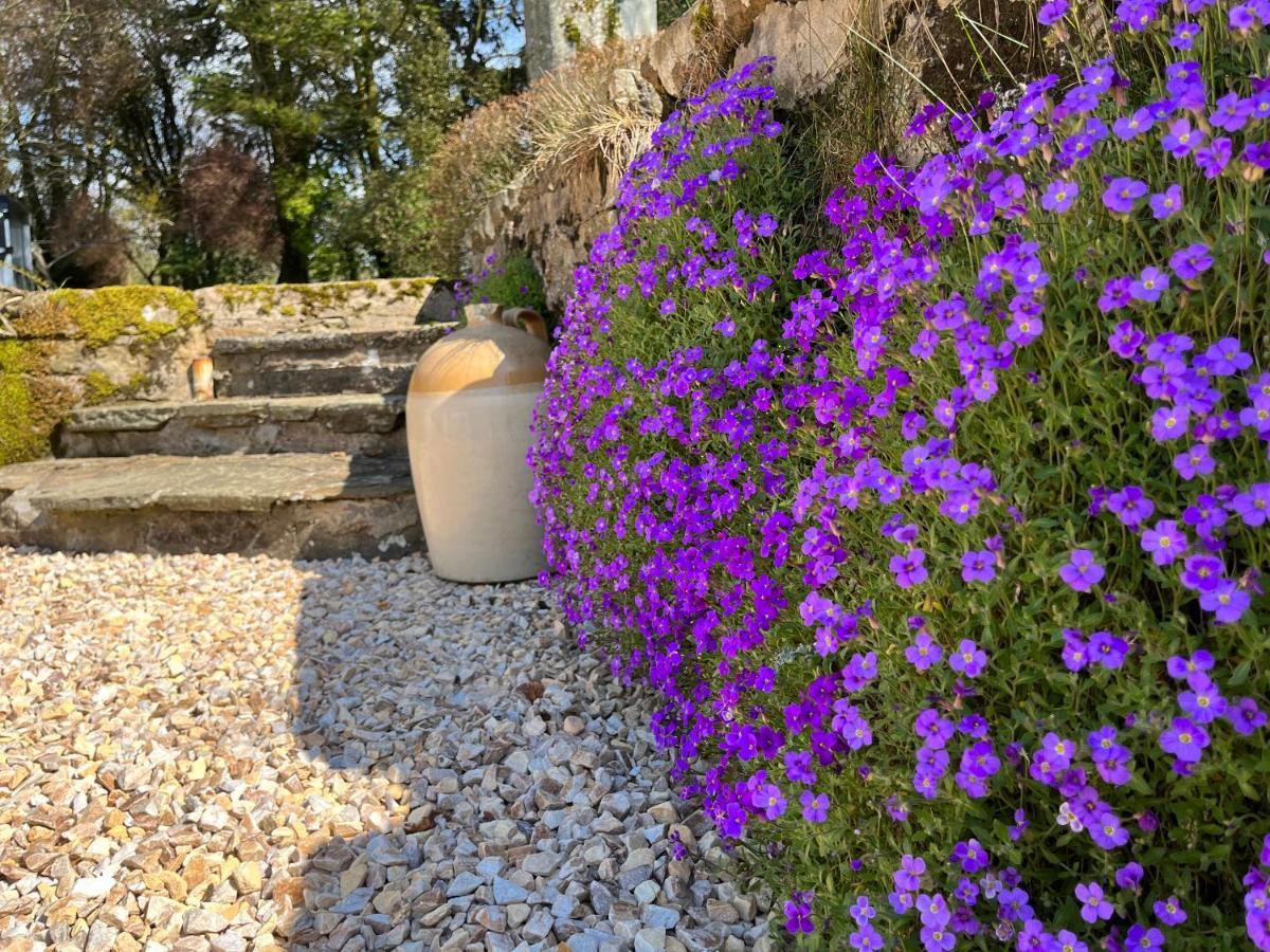 South Craighall B&B Eaglesham Buitenkant foto